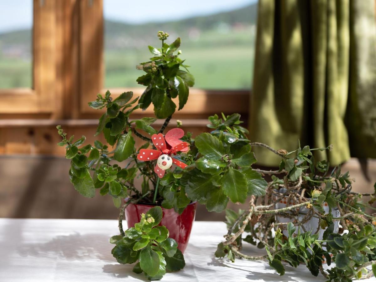 Quaint Holiday Home In Bad K Tzting With Garden Terrace Kötzting Exterior foto
